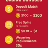 Understanding Casino Bonuses
